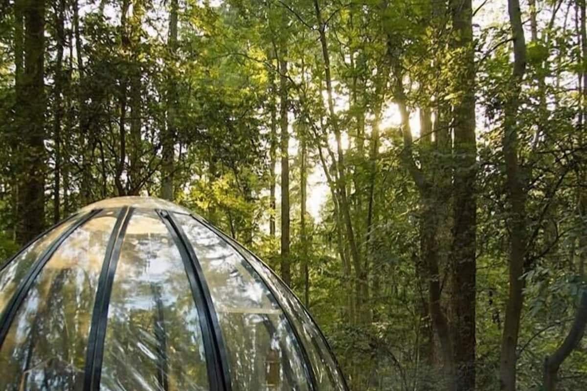 A dome-shaped wooden structure in a forest.