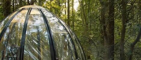 Family Double Room Single Use | Individually furnished