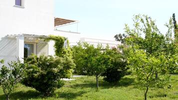 Suite monolocale Junior | Vista dalla camera