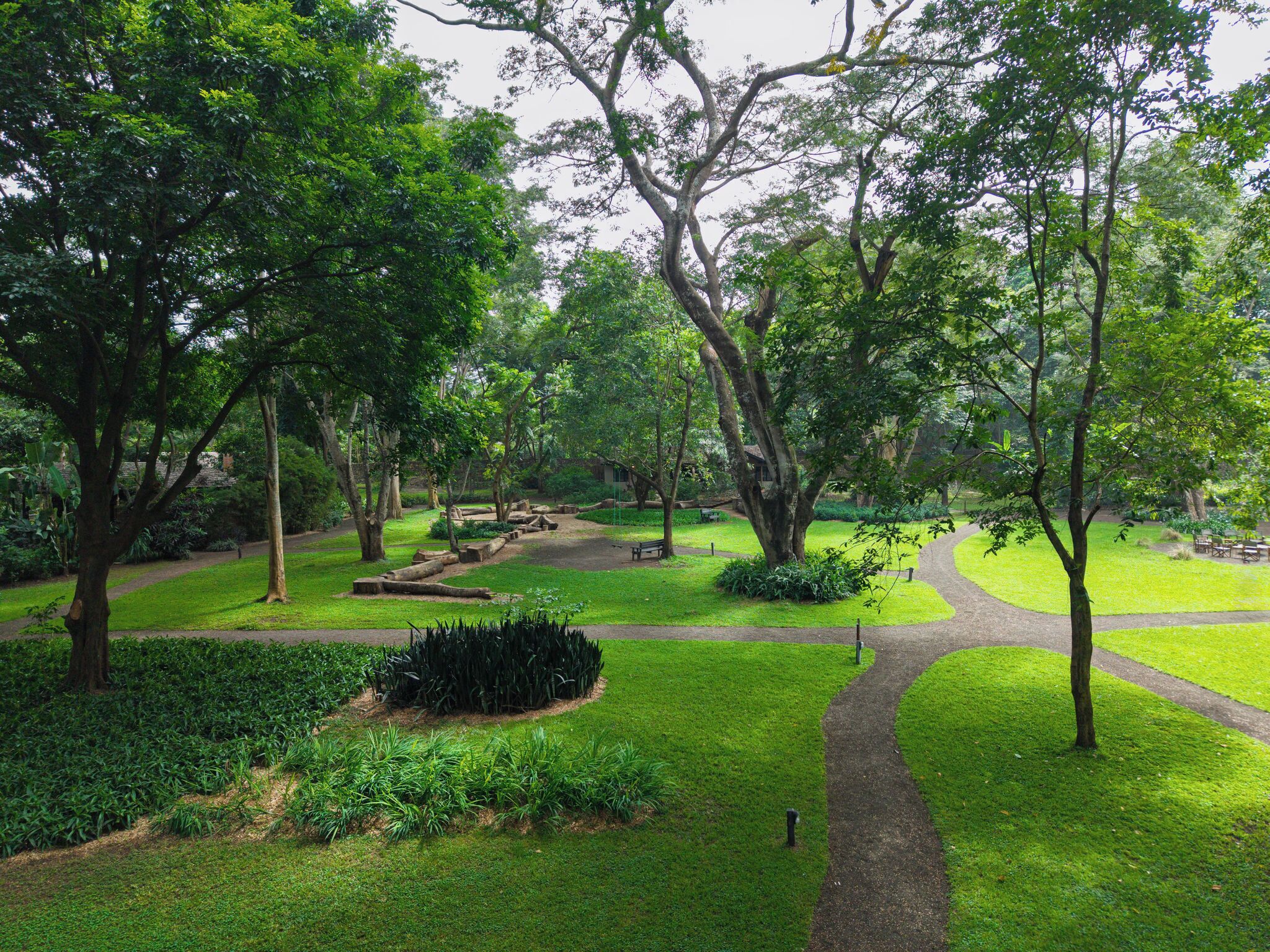 Un parque con un sendero sinuoso, varios árboles y zonas verdes.