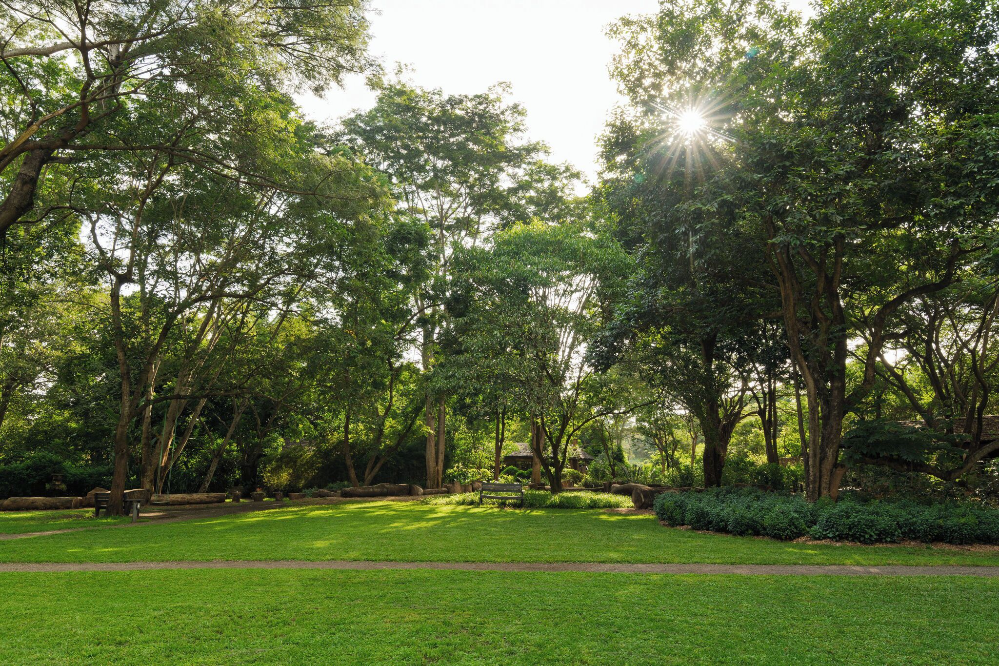 A park with a grassy area, trees, and a bench.