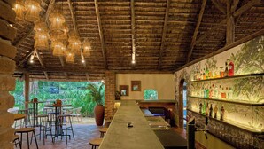 A bar area with a long counter, stools, and a thatched ceiling. - Rivertrees Country Inn (Arusha)