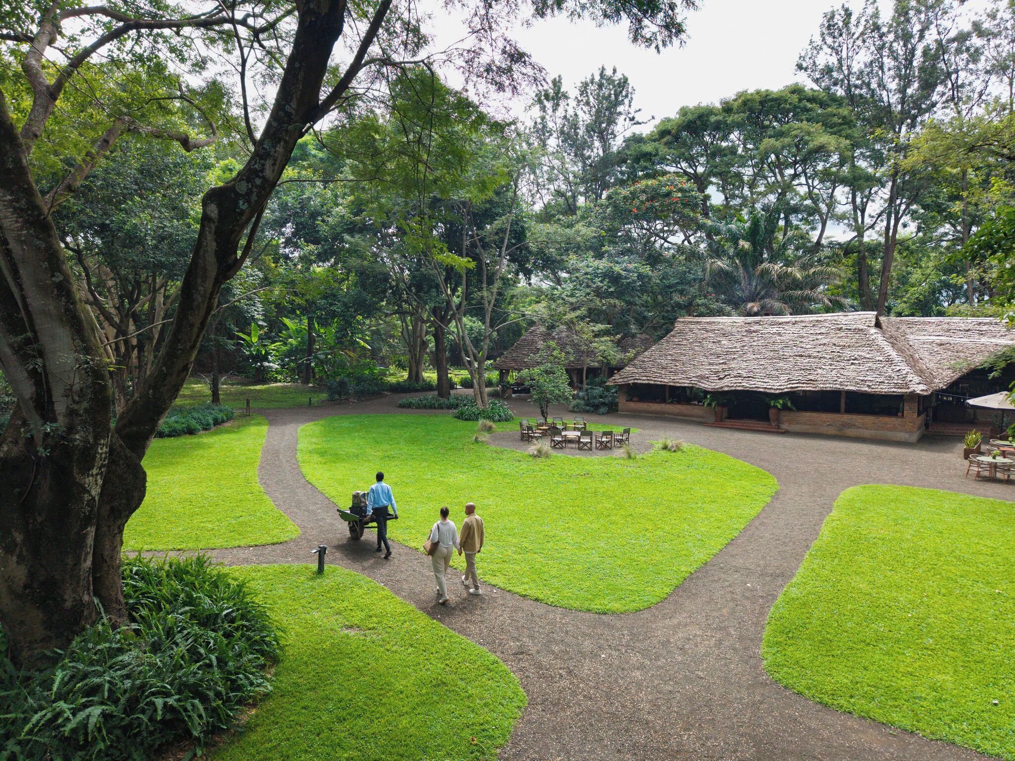 A lush garden with a thatched-roof building, a paved path, and outdoor seating.