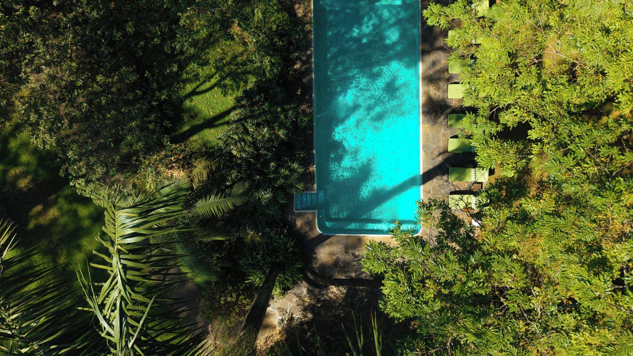 Ovenudblik over en rektangulær swimmingpool omgivet af frodig vegetation og stendrevne stier.