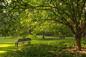 A park with a bench and trees.