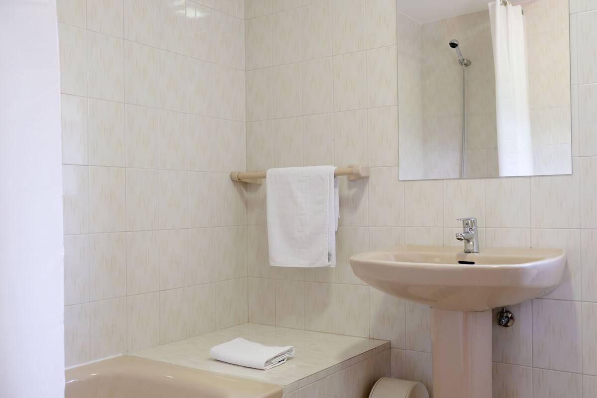 combined shower/bathtub, free toiletries, hair dryer, towels