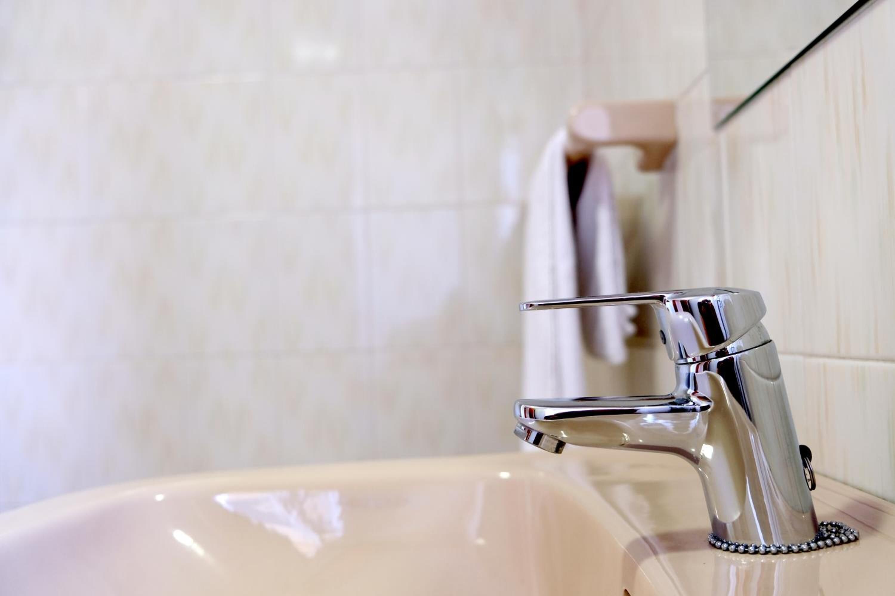 combined shower/bathtub, free toiletries, hair dryer, towels