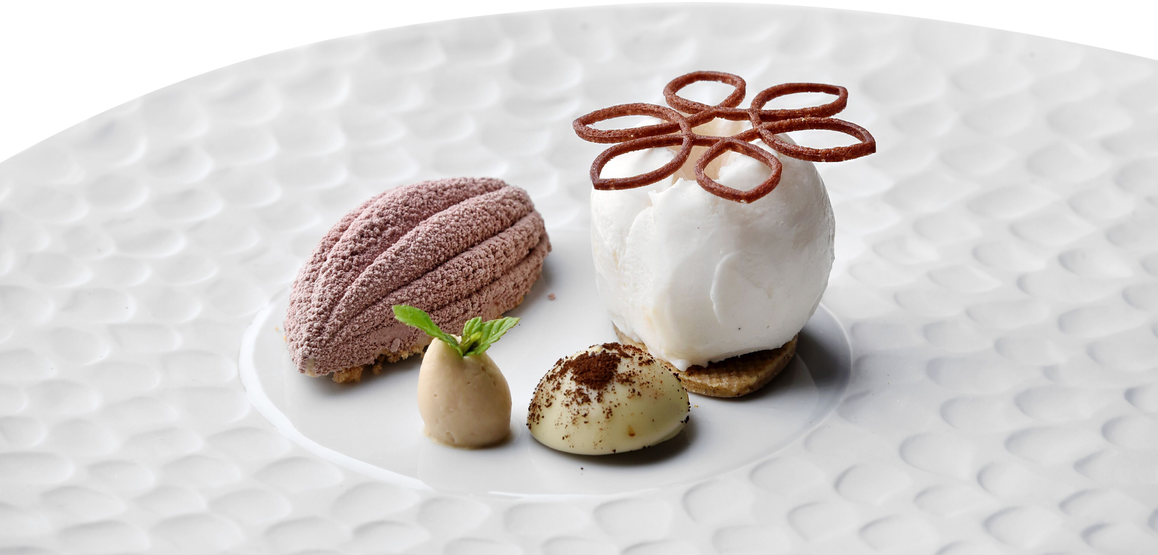 Un plato de postre con mousse de chocolate, helado de vainilla y un anillo decorativo de chocolate.