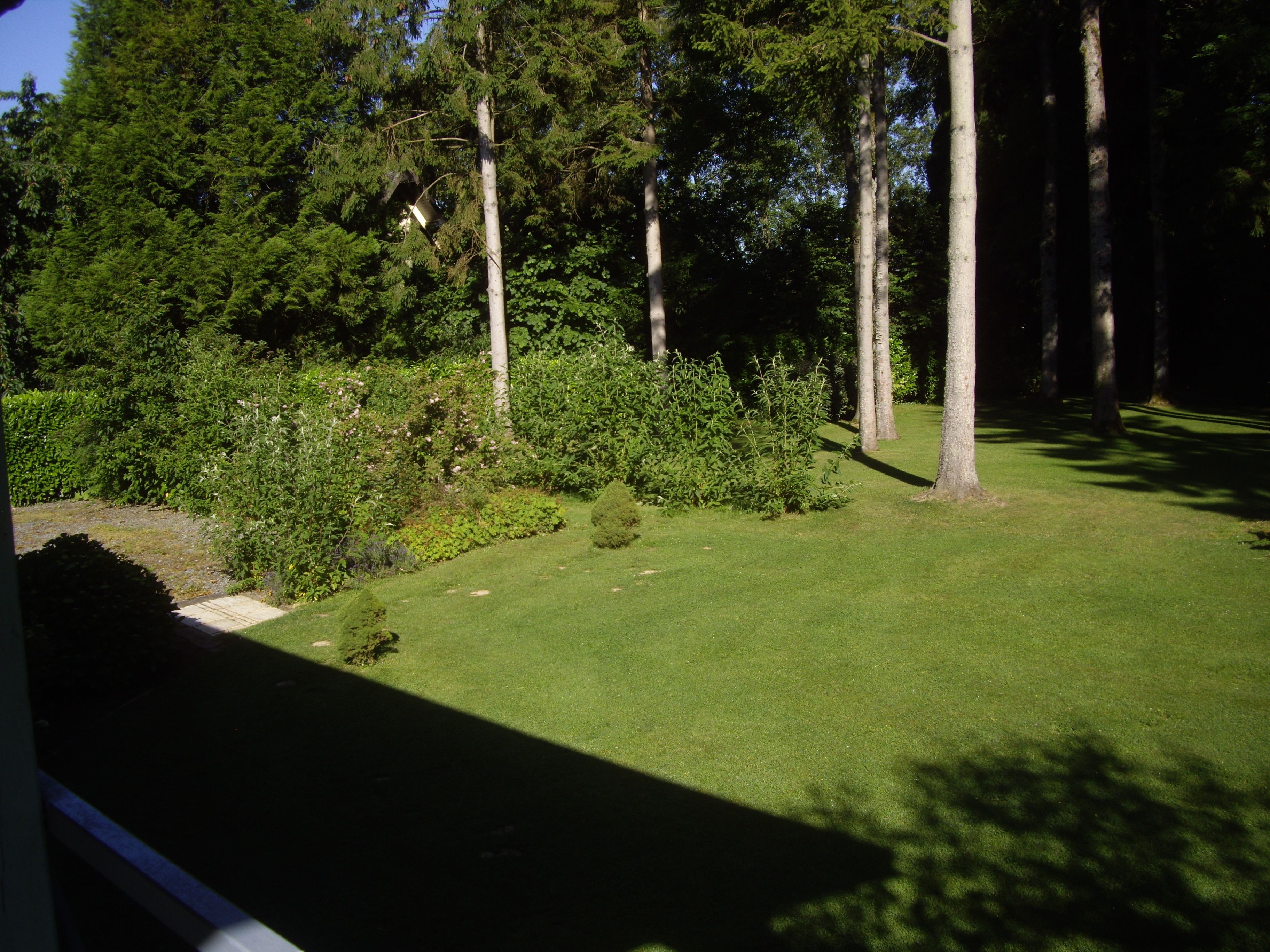 A well-maintained lawn with a variety of trees and shrubs, suggesting a serene outdoor space.