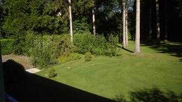 A well-maintained lawn with a variety of trees and shrubs, suggesting a serene outdoor space.