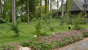 Jardín