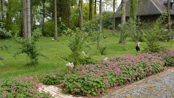 Jardin