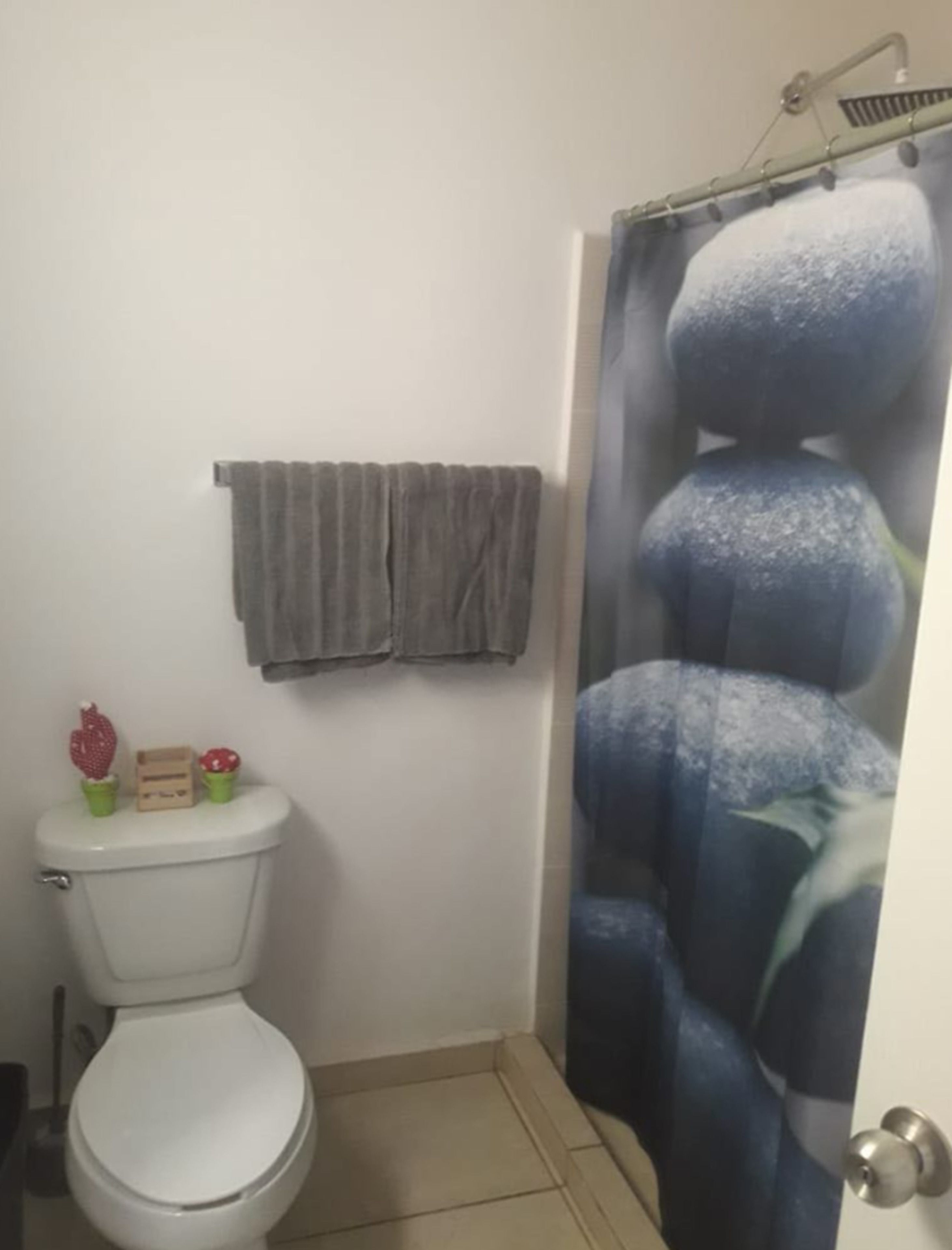 traditional penthouse, 2 bedrooms, kitchen, lagoon view | bathroom | shower, rainfall showerhead, free toiletries, towels