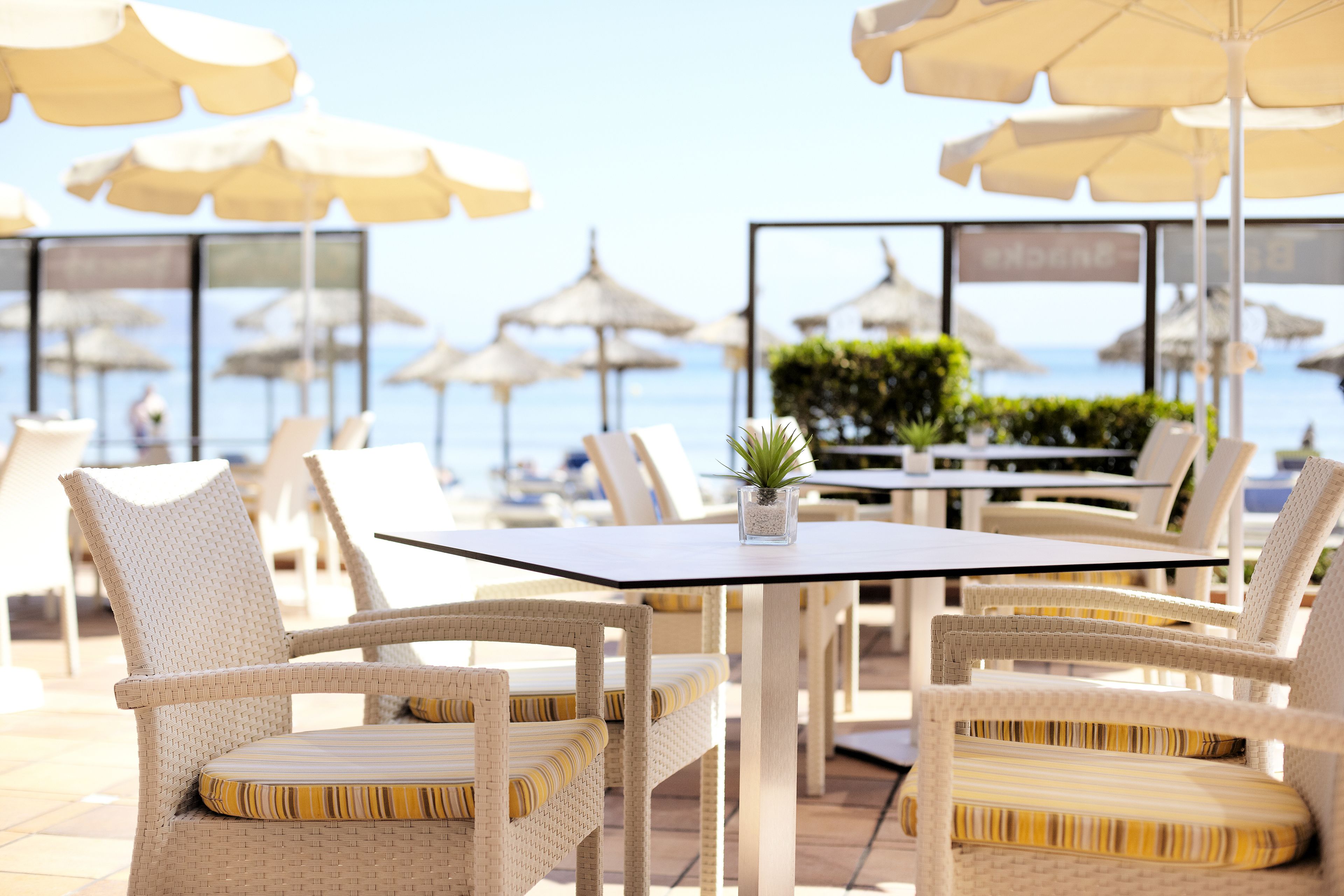 Foto - Grupotel Dunamar