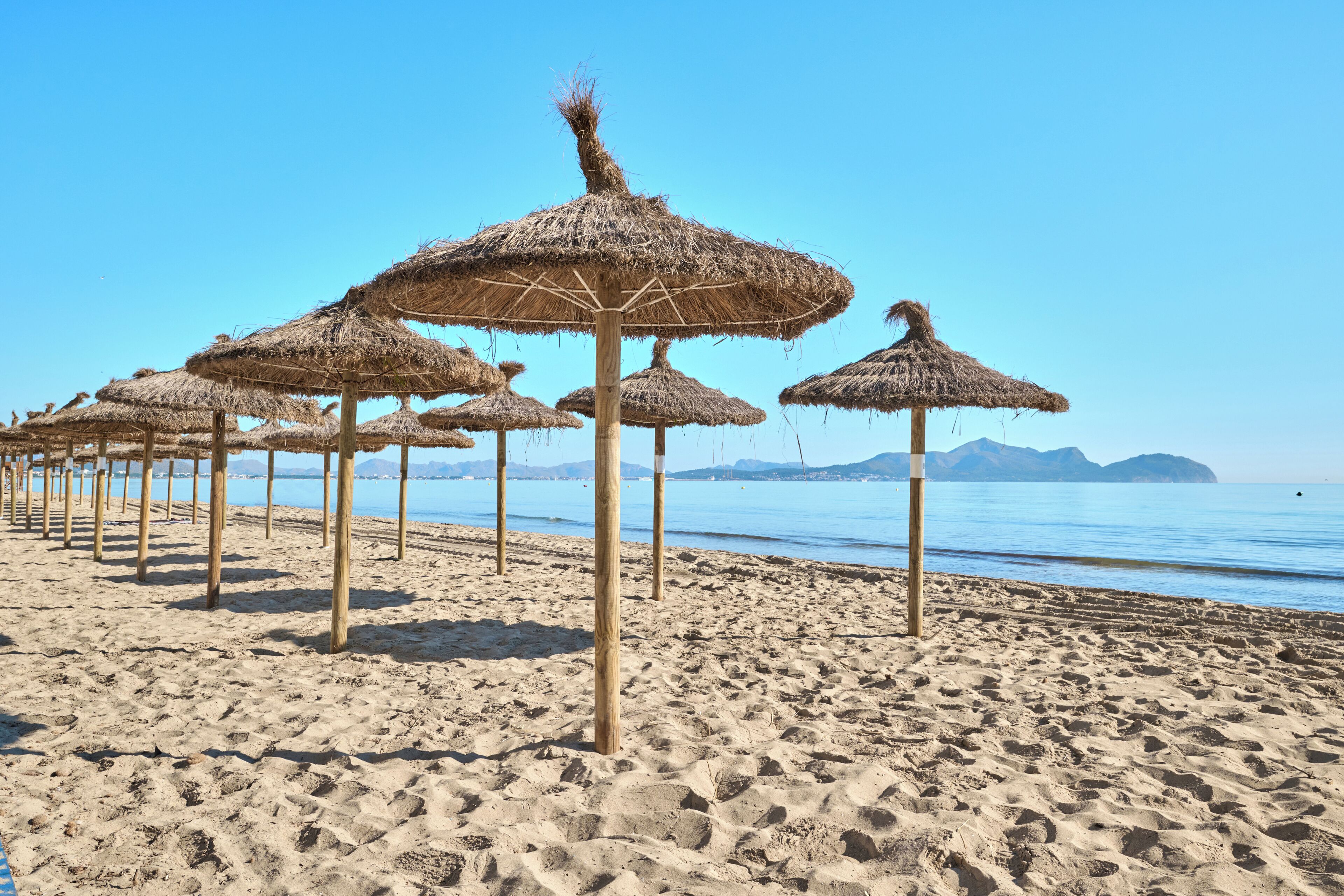 Una spiaggia con ombrelloni di paglia e pali di legno.