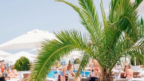A poolside area with lounge chairs and umbrellas, surrounded by palm trees. - Bono Beach Hotel (Odesa)