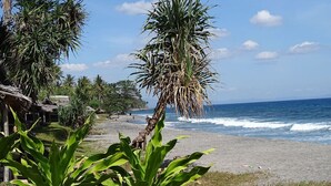 A beach with palm trees, a thatched-roof hut, and the ocean in the background. - Bale Solah Lombok Holiday Resort (Batu Layar)