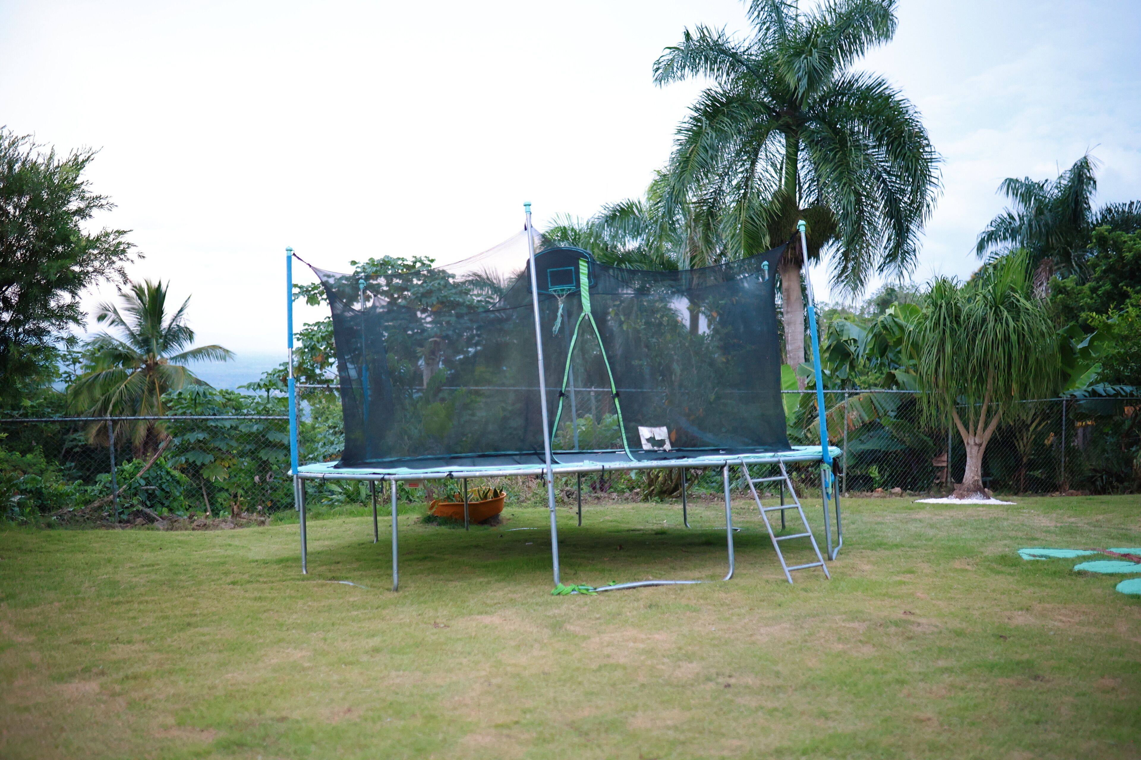 Un trampoline installé dans un espace herbeux, entouré d’une clôture de protection en filet, et bordé de palmiers et d’autres plantes.
