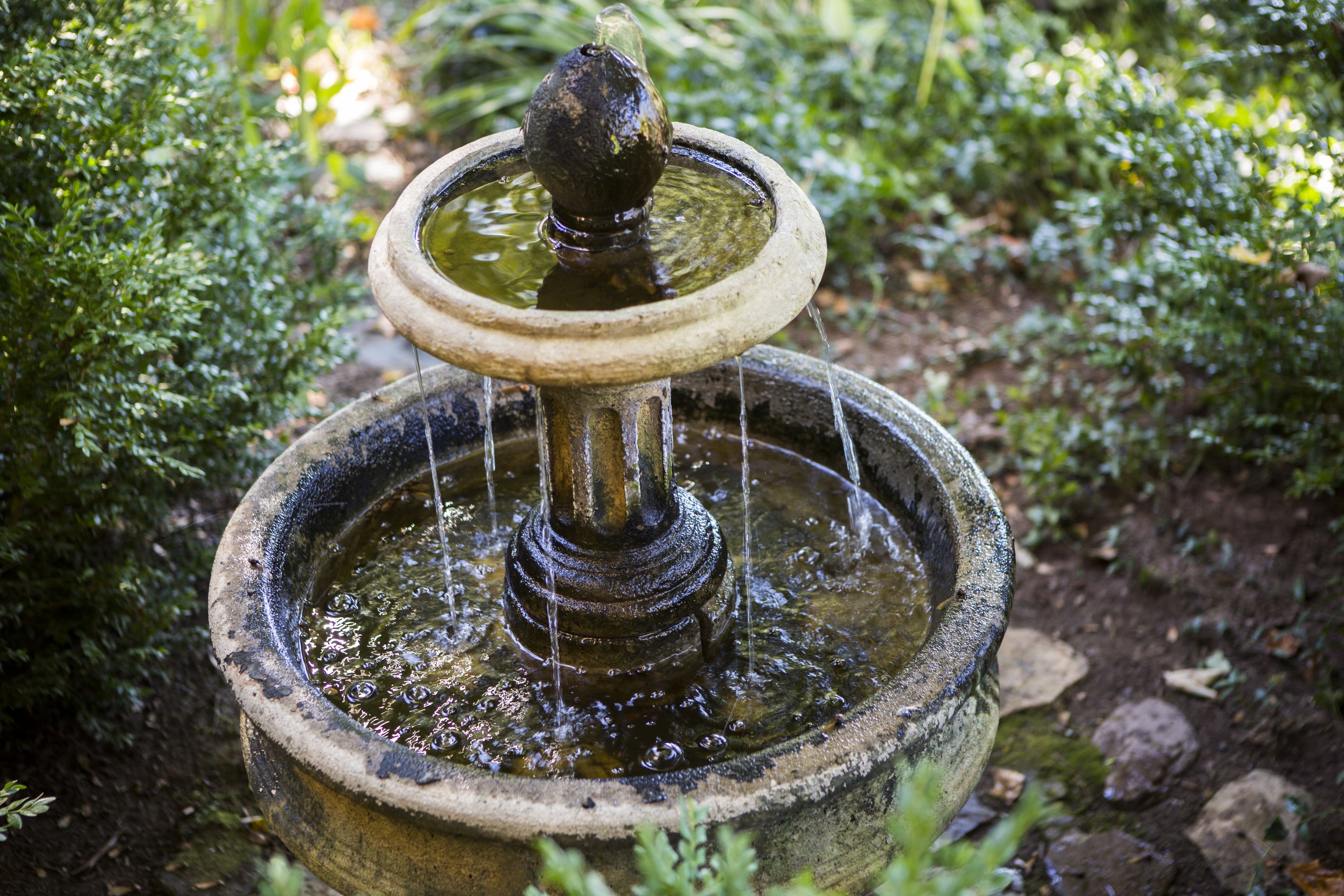 A stone fountain with water flowing from a central spout, surrounded by greenery.