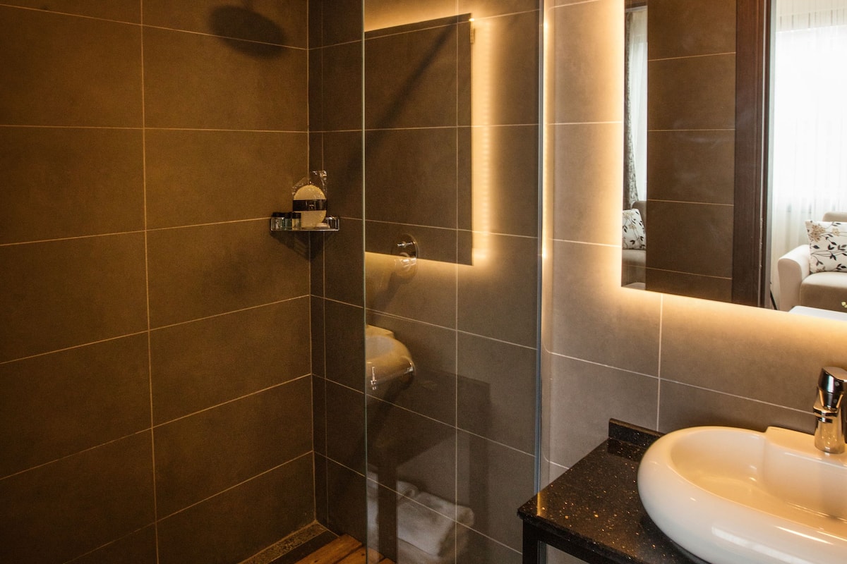 family suite, 1 queen bed with sofa bed | bathroom | shower, slippers, bidet, towels