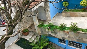 Vista al jardín