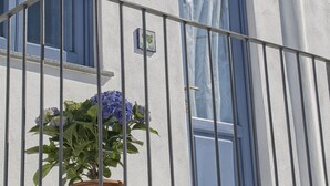 A balcony with a metal railing, a potted plant with blue flowers, and a building with blue shutters and a white wall. - Le sette perle (Malfa)