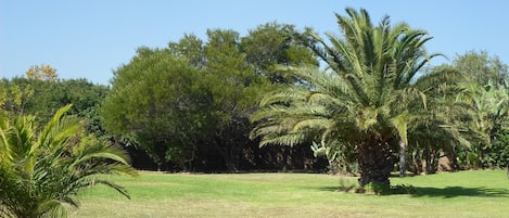 Área da propriedade