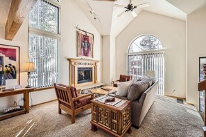 Televisión, chimenea, reproductor de DVD y estéreo 