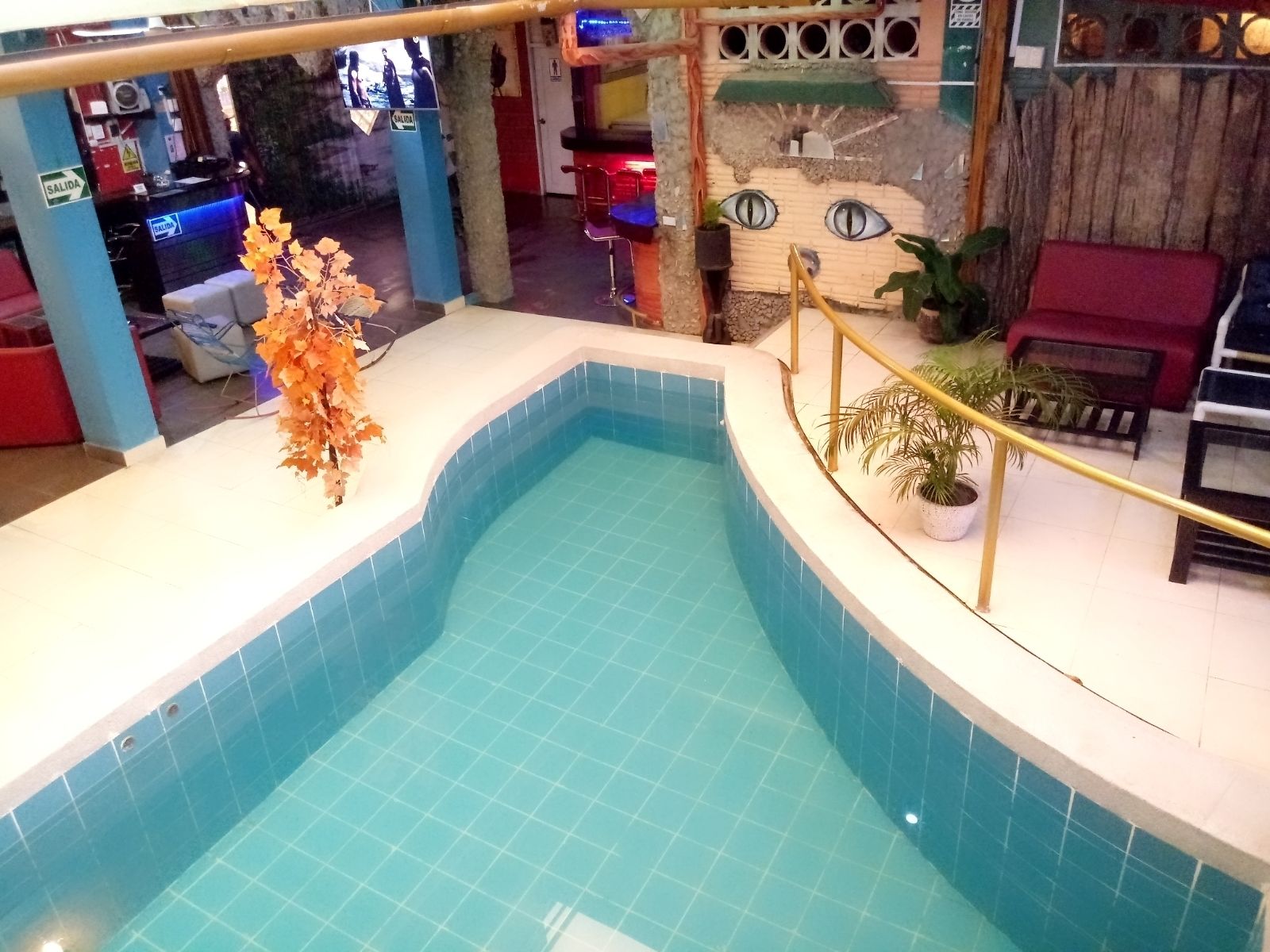 An indoor swimming pool with tiled walls and a curved edge. There are potted plants and a wooden bench near the pool.