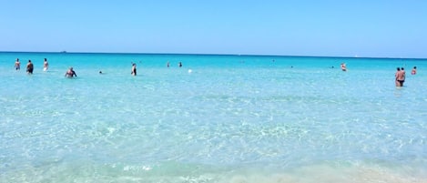 Plage à proximité