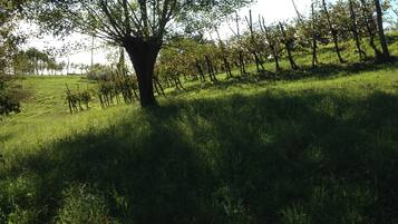 Parco della struttura