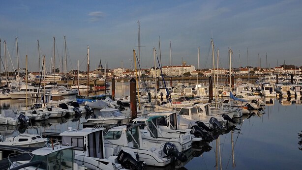 A marina with numerous boats docked in calm waters, surrounded by buildings and a clear sky.