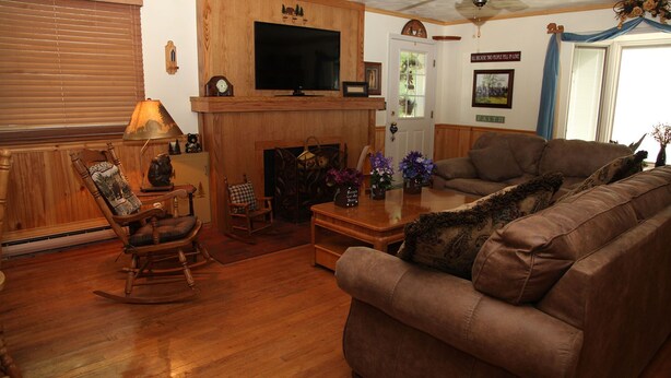 Una sala de estar acogedora con chimenea, muebles de madera y un televisor.