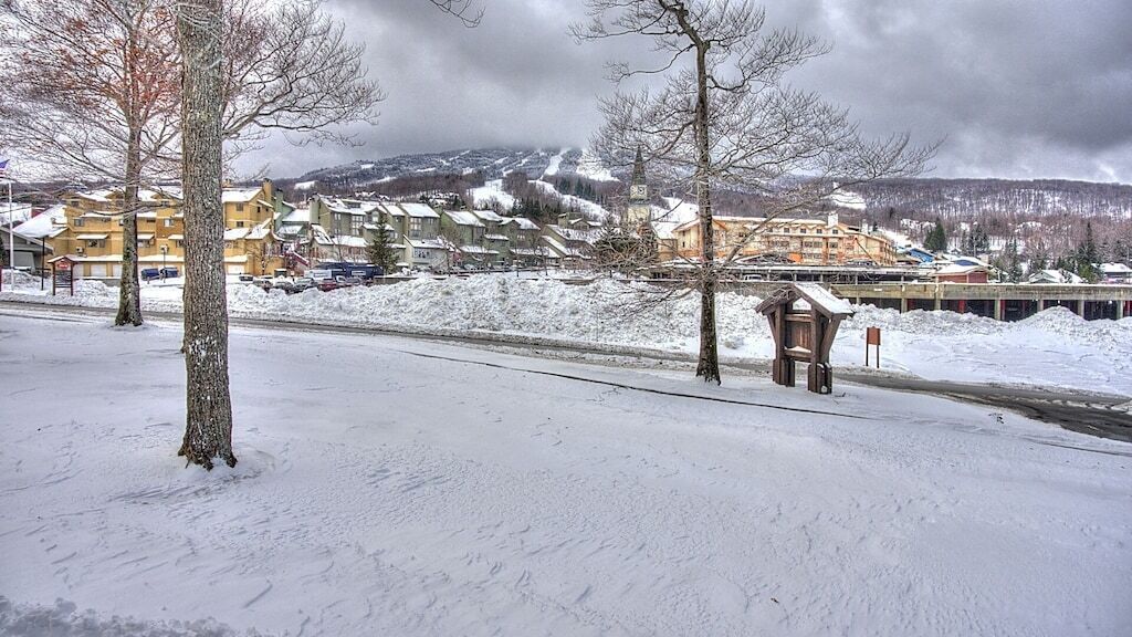A snow-covered landscape with buildings, a bridge, and a snow-covered road.
