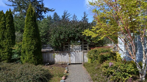 Un giardino con una recinzione in legno, un vialetto sterrato e diversi arbusti e alberi.