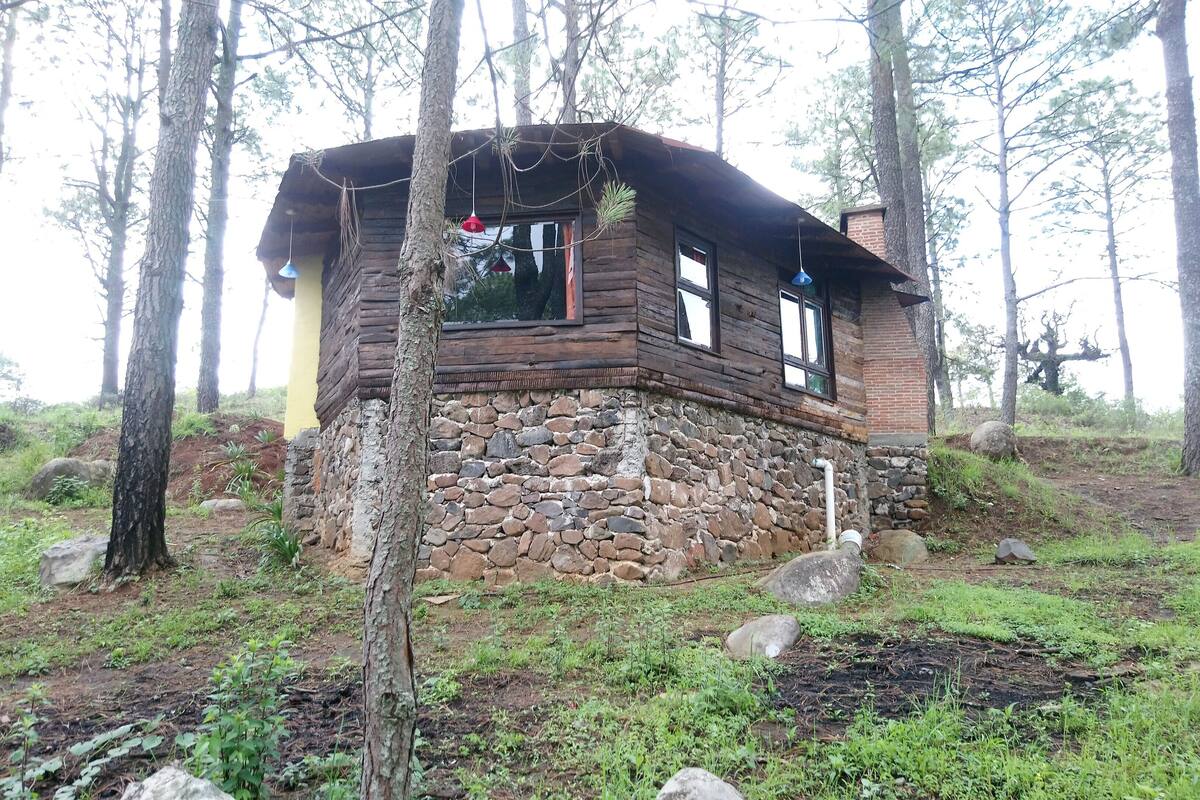 高级小屋, 1 张特大床, 按摩浴缸 | 外观