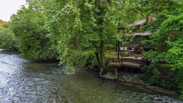 Property grounds - Lofty Pines on the Cartecay (Ellijay)
