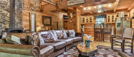 TV, fireplace, DVD player, books