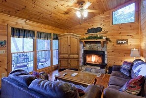 Flat-screen TV, fireplace, DVD player, books