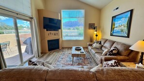 Smart TV, fireplace, books