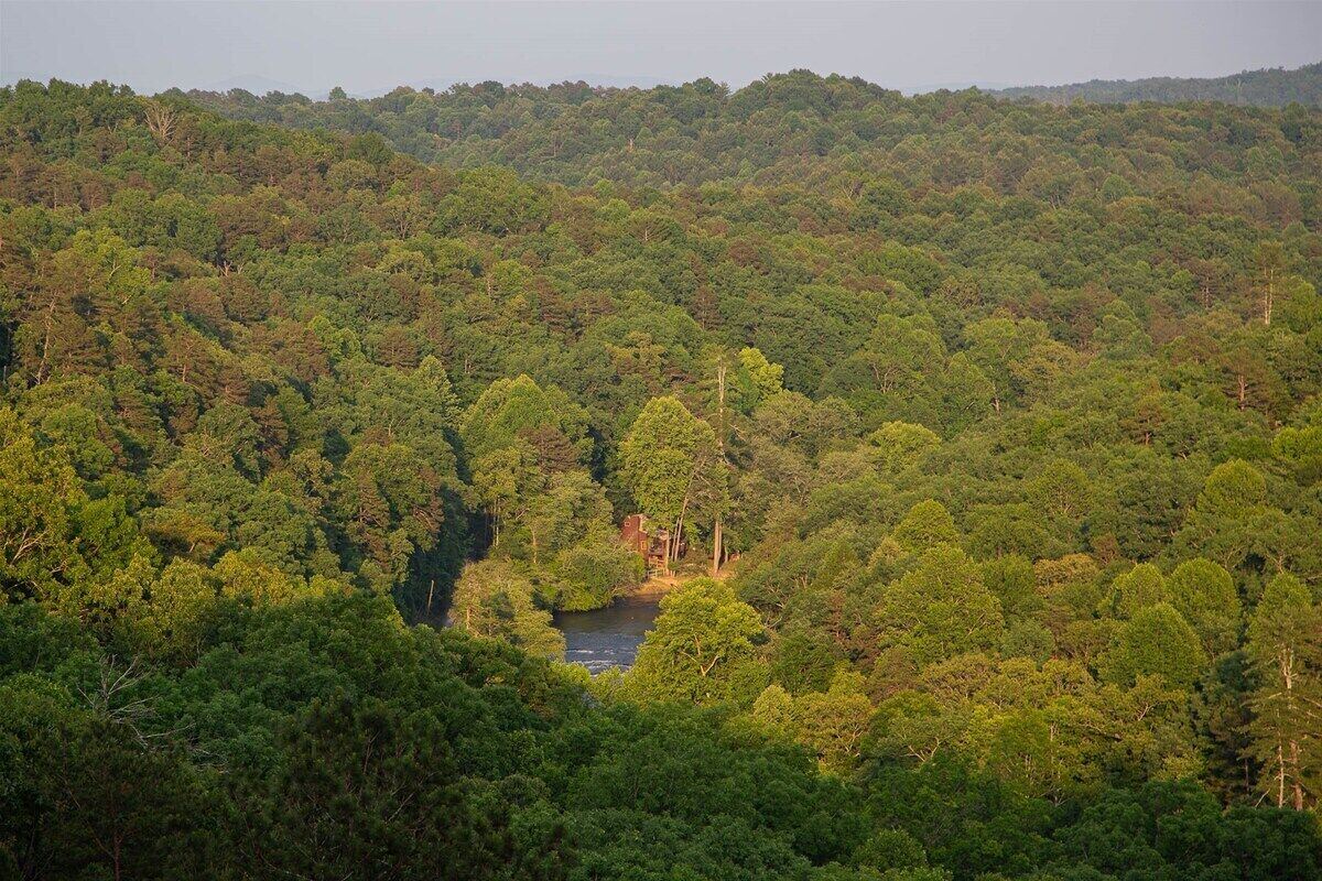 Une forêt dense, traversée par une rivière, avec un petit bâtiment.
