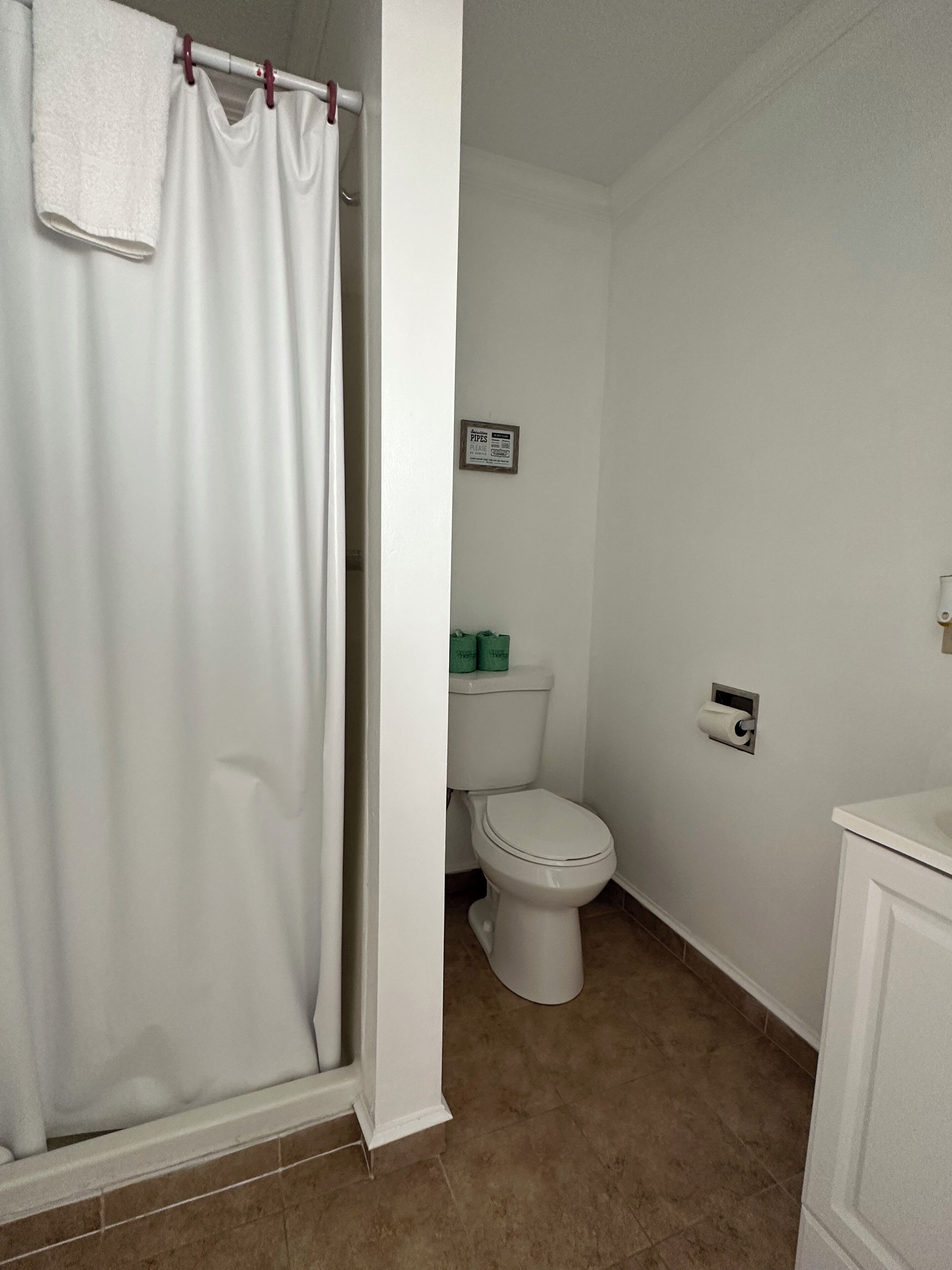 Un baño con inodoro blanco, cortina de ducha y dispensador de papel higiénico.