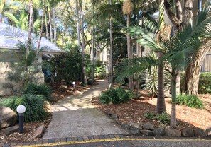Property grounds - CHA Private Apts Diamond Beach (Mermaid Beach)