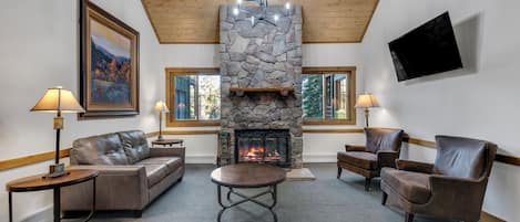 电视、DVD 播放器