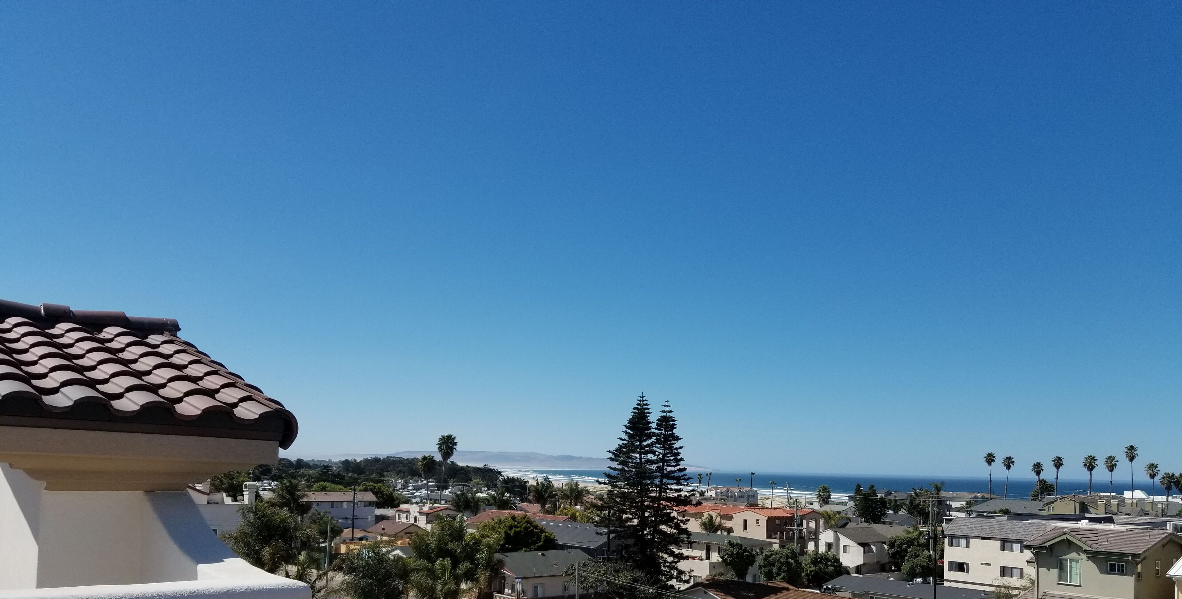 A residential area with houses, palm trees, and a view of the ocean.