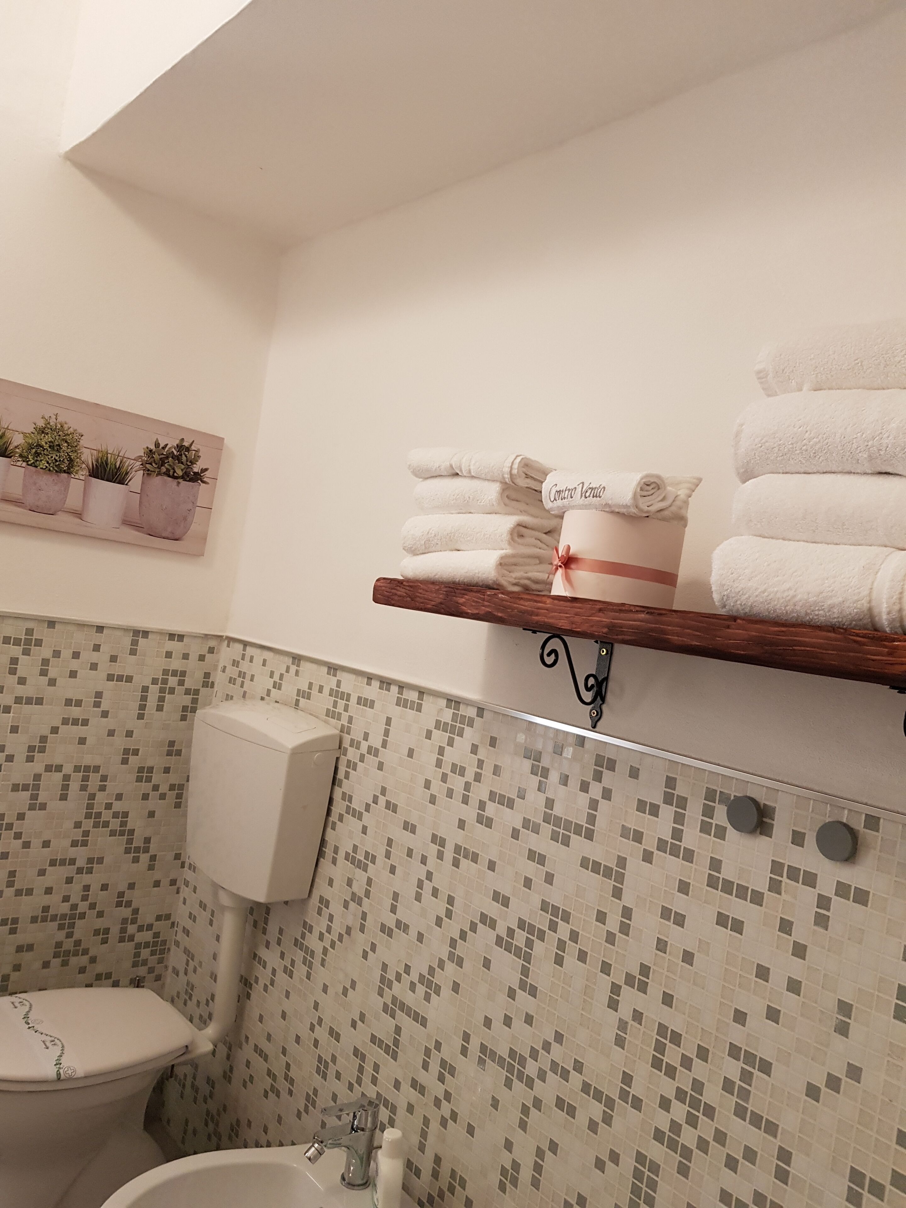 A bathroom with a toilet, bidet, and a shelf with towels and potted plants.