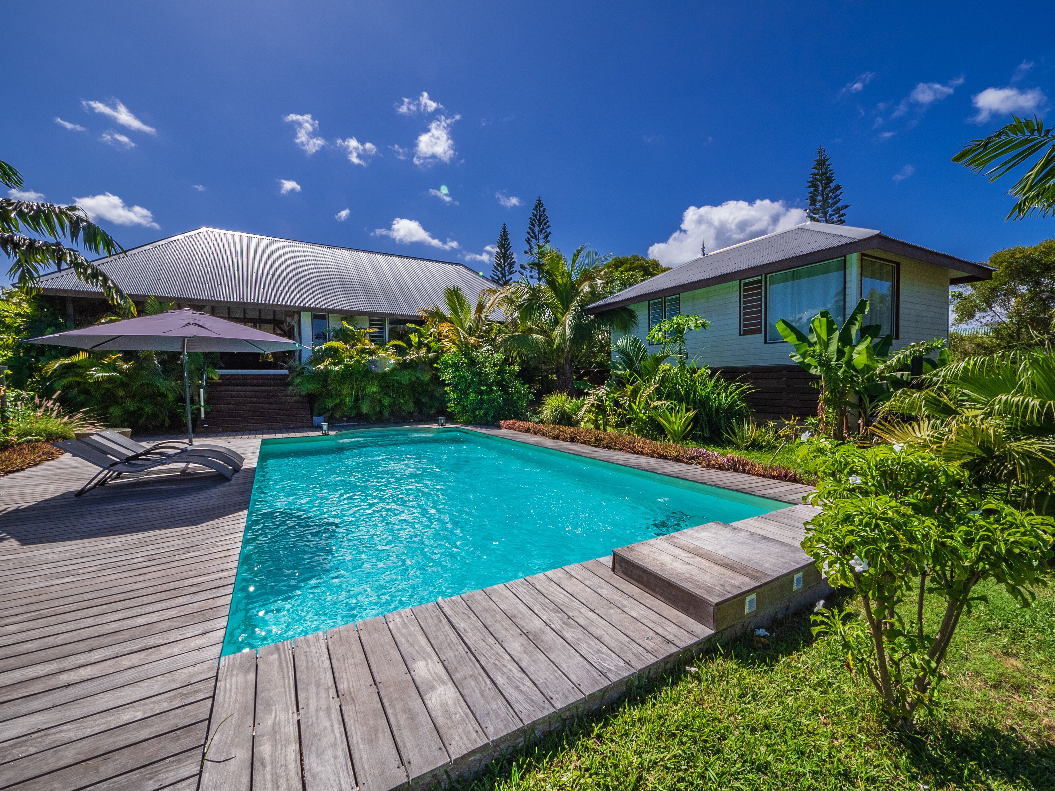 A swimming pool with a wooden deck, surrounded by lush greenery and a house with a metal roof.