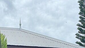 A building with a corrugated metal roof, surrounded by lush tropical plants. - Poé Côté Lagon Beach Bungalows (Bourail)