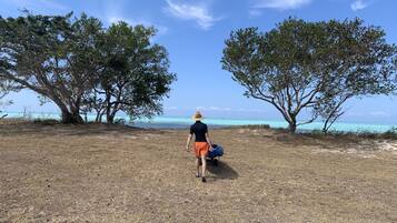Beach nearby, sun-loungers, kayaking