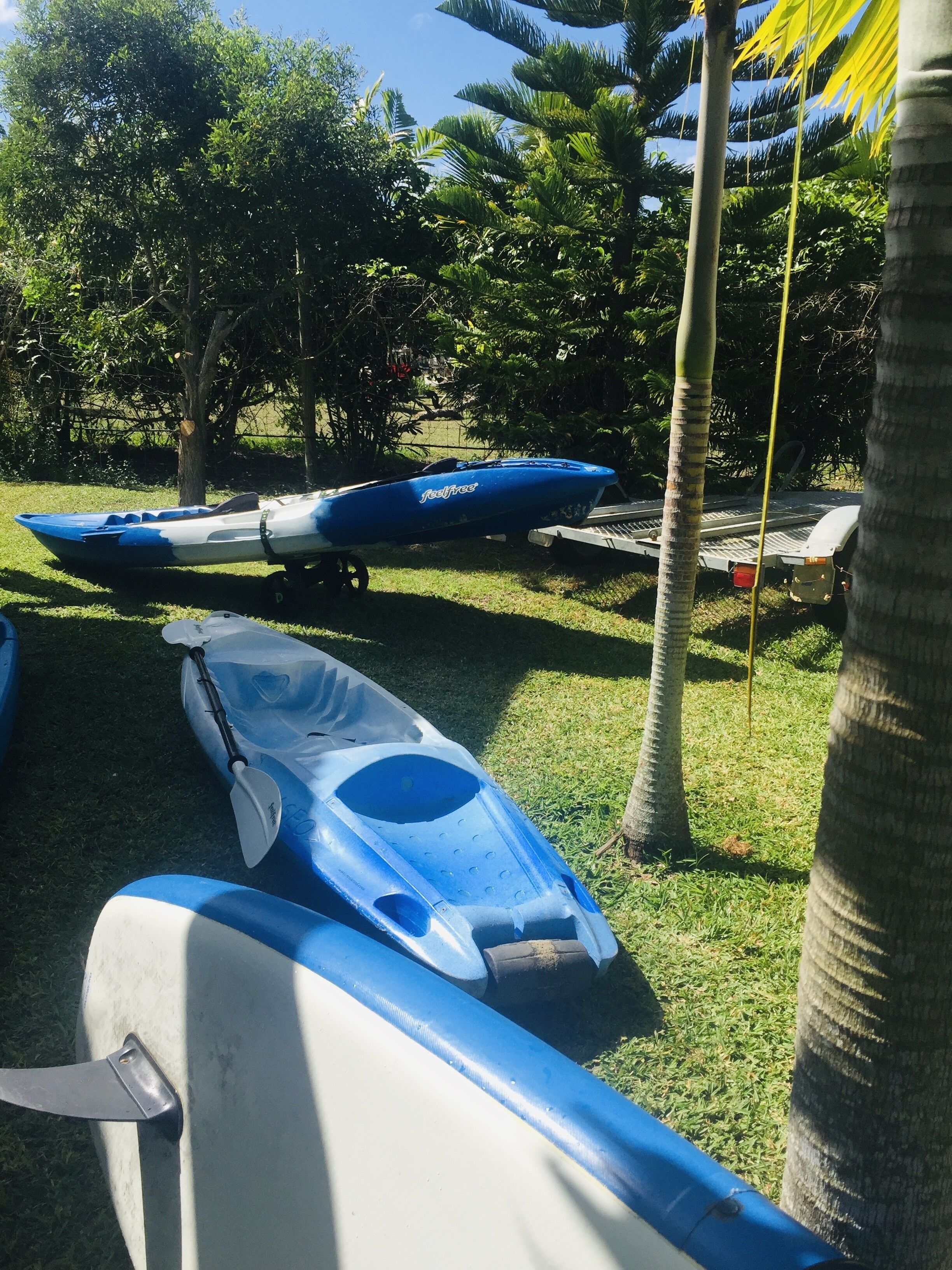 A row of kayaks and a canoe on a grassy area with trees in the background.